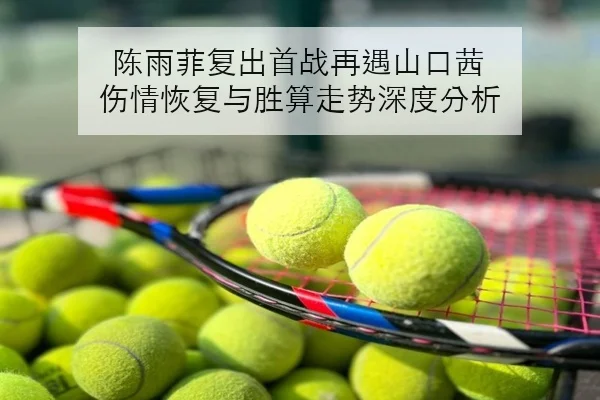 陈雨菲复出首战再遇山口茜 伤情恢复与胜算走势深度分析