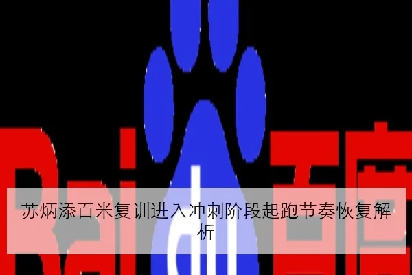 苏炳添百米复训进入冲刺阶段起跑节奏恢复解析